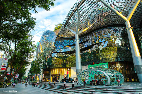 Đại lộ Orchard là khu mua sắm nổi tiếng tại Singapore với hàng loạt các trung tâm thương mại lớn hai bên đường. Đây là nơi tập trung hầu hết các nhãn hiệu nổi tiếng trên thế giới. Ngoài các trung tâm ở hai bên đại lộ, khi bước xuống dưới các tòa nhà, du khách cũng lạc trong mê cung các cửa hàng thời trang nổi tiếng thế giới được xây dựng ngầm dưới lòng đất.