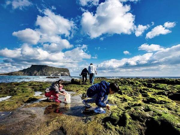 Đảo Jeju với bãi biển và cảnh quan thiên nhiên phong phú cũng là địa điểm lý tưởng cho một chuyến du lịch mùa thu đến Hàn Quốc. Ảnh: Unitar.