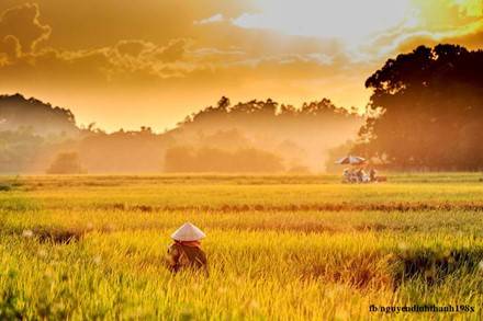 Đồng quê thanh bình vừa thức giấc. Đồng quê thanh bình vừa thức giấc.