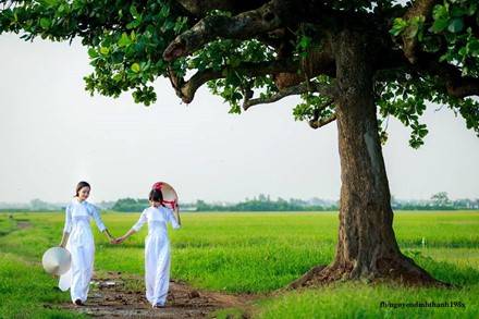 Nét đẹp áo dài duyên quê. Nét đẹp áo dài duyên quê.
