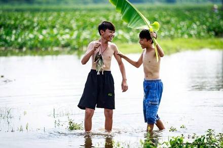 Thơ thẩn dắt trâu ra về khi chiều nhá nhem tối. Thơ thẩn dắt trâu ra về khi chiều nhá nhem tối.