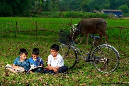 Tranh thủ lúc chăn trâu lấy sách ra đọc bài. Tranh thủ lúc chăn trâu lấy sách ra đọc bài.