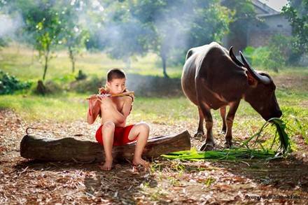 Mục đồng nghêu ngao thổi sáo. Mục đồng nghêu ngao thổi sáo.