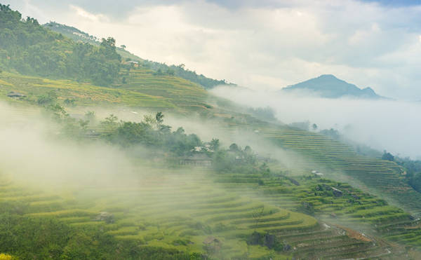 Biển mây ngập tràn vào mỗi sáng sớm tại xã Bản Phùng, huyện Hoàng Su Phì - Ảnh: Phạm Ngọc Bằng