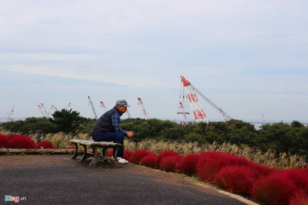 Du khách lớn tuổi chọn cách ngồi trên băng ghế ở đỉnh đồi.