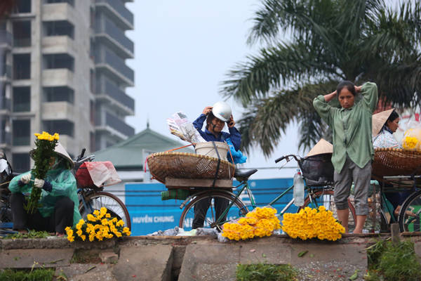 Những gánh hàng hoa, chiếc xe đạp chọn thời điểm tờ mờ sáng để chất đầy những bó hoa màu sắc để trôi len lỏi trên phố phường Thủ đô.