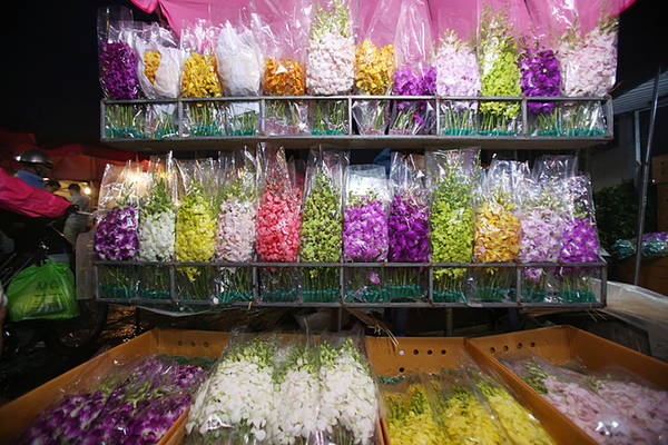 Nhiều loài hoa lan được đóng vào hộp bảo quản trong thùng lạnh từ nước ngoài về cũng có mặt.
