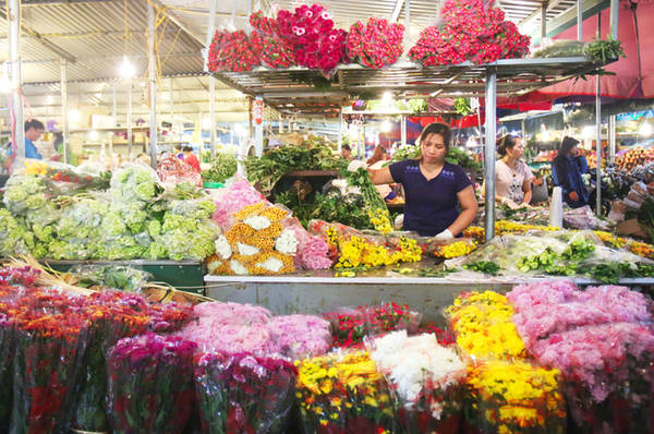 Phải có mặt từ tờ mờ sáng thì mới thấy được sự hấp dẫn của chợ hoa Quảng Bá. Hoa ở đây bạt ngàn, đủ các loại như hoa hồng, cúc, thược dược… tươi thắm đủ sắc màu.