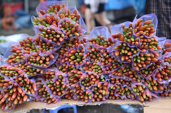Một bó hoa lys tại chợ có giá từ 70.000 đến 200.000 đồng, hoa layơn cũng chỉ từ 40.000 đồng/chục bông. 