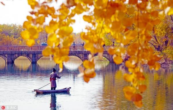 Thuộc huyện Bachu, vùng tự trị Tân Cương, Hong Hai là nơi du khách không thể bỏ qua khi ghé thăm vào mùa thu với tiết trời mát mẻ và những hàng cây đồng loạt chuyển màu vàng rất thơ mộng. 