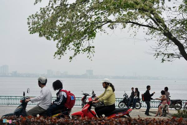 Nhiều người đi xa, khi trở lại thủ đô, muốn được tự do đạp xe qua đây để cảm nhận hơi thở cuộc sống của người Hà Nội. Vào mùa đông, Hồ Tây mang vẻ đẹp rất riêng, lạnh nhưng không lạnh.