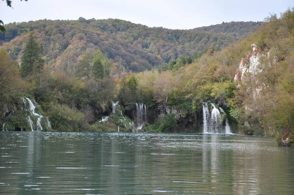Bên cạnh đó, hồ Plitvice còn được bao phủ bởi những hàng cây rậm rạp, xanh tươi, khiến khung cảnh càng thêm nên thơ và yên tĩnh. Có thể nói, Plitvice chính là bức tranh hoàn mỹ nhất của thế giới tự nhiên.