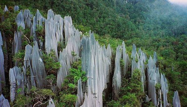 Borneo của Malaysia là điểm đến thiên đường cho những ai yêu thế giới tự nhiên hoang dã. Họ thường là các nhóm du lịch nhỏ có ý thức về sinh thái và sẵn sàng ở cùng người dân địa phương. Ngoài ra, Borneo còn là nơi gặp gỡ những chú voi lùn hiếm có ở châu Á và báo gấm Sunda.