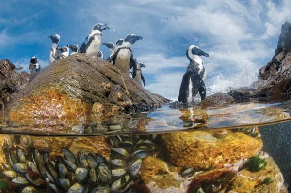 Bờ biển Skeleton, Namibia - Ảnh: National Geographic