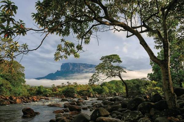 Núi Roraima ở Venezuela - Ảnh: National Geographic