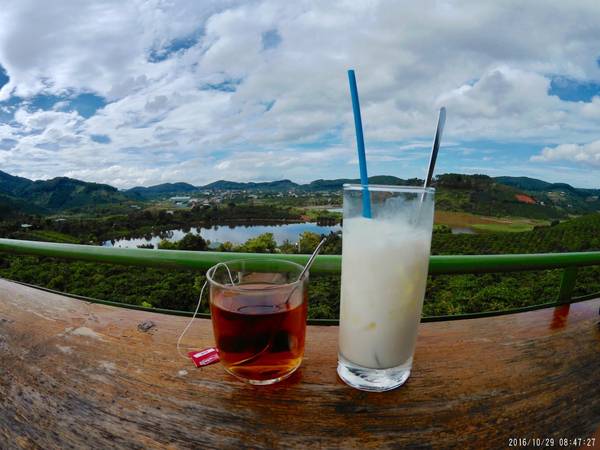 Và đây là lý do mình chọn con đường ra Tà Nung để săn dã quỳ, bởi trên đường đi bạn có thể ghé Mê Linh Coffee Garden để thưởng thức một tách trà Atiso nóng hổi và ngắm cảnh mây nước hữu tình.