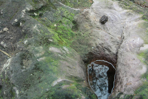  Đặc biệt, trong quần thể đền Sái có một khối đá bên trên có giếng nhỏ. Điều đặc biệt là chiếc giếng tuy chỉ bằng một vũng nước nhưng có từ lâu đời và được gọi là giếng cô Tiên. Giếng này liên quan tới câu chuyện truyền thuyết của những nàng tiên xưa kia giáng trần giúp đỡ An Dương Vương xây thành ốc. Điều lạ kỳ là chiếc giếng này nhỏ, nhưng lại nằm trên một khối đá, giếng quanh năm có nước.