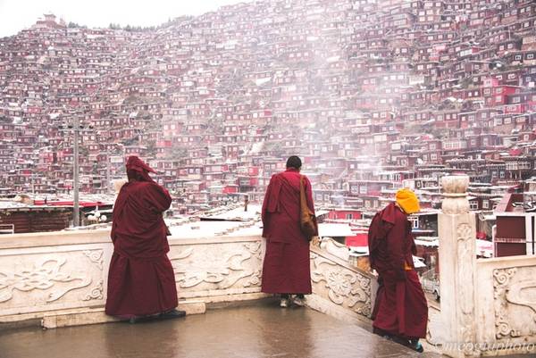 Ngày 19/10, Trần Năm Thương (biệt danh Mèo Già) có chuyến khám phá Học viện Phật giáo lớn nhất thế giới với 40.000 nhà sư cùng kiến trúc độc đáo của những ngôi nhà gỗ đỏ ở Larung Gar. Dưới đây là chia sẻ của anh. Học viện nằm giữa thung lũng biệt lập, cách Thành Đô (Trung Quốc) 650 km. Larung Gar trở thành điểm đến khá nhạy cảm vì từ tháng 5 chính quyền quyết định cấm du khách nước ngoài vào tham quan nên để tới được đây là điều không hề dễ dàng.