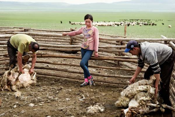 “Người Mông Cổ có mối liên kết rất khắng khít với vật nuôi và ruộng đồng. Điều này rất cần thiết cho sự sống còn của tất cả mọi người, do đó họ có cách riêng khi giết động vật"