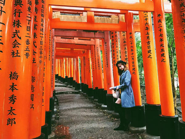 Trong những ngày khám phá cố đô Kyoto, đôi vợ chồng son không quên ghé qua ngôi đền thờ Fushimi Inari Taisha với những chiếc cổng torii sơn đỏ đã trở thành huyền thoại của một nước Nhật cổ kính. Vị thần ở ngôi đền này tương truyền là sẽ mang lại sự thịnh vượng, phú quý nên hàng năm có rất nhiều người đến đây cầu nguyện cho việc làm ăn phát đạt, kinh doanh thuận lợi. 