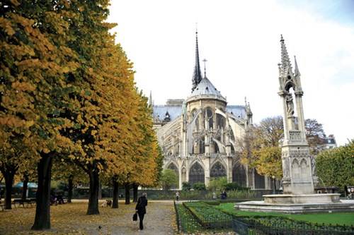 Khu vườn đang thay lá phía sau nhà thờ Đức Bà Paris