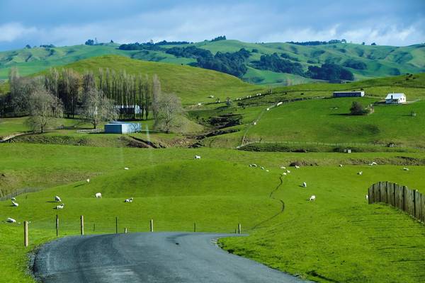  Ngôi làng Hobbit ở Matamata, Waikato (phía bắc New Zealand) có những ngôi nhà xây nửa nổi, nửa chìm trong lòng đất. Con đường vào ngôi làng đẹp như tranh, với những đồi cỏ mênh mông xanh mướt, cùng những chú cừu thẩn thơ gặm cỏ.