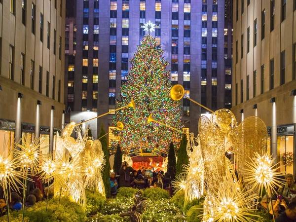 New York, Mỹ Một trong những cây thông Noel nổi tiếng nhất thế giới nằm tại trung tâm Rockefeller với hơn 50.000 chiếc đèn LED. Năm nay, cây thông cao 28 m được lấy từ thành phố Oneonta, phía nam hạt Otsego thuộc bang New York.