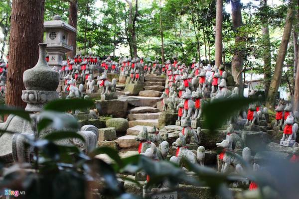 Chiêm ngưỡng hàng nghìn con cáo đá ở Toyokawa Inari, ngôi chùa được thành lập năm 1441. Hầu hết các con cáo ở khu vực trưng bày (trong hình) được người dân mua rồi gửi tại chùa với mong muốn sám hối một lỗi lầm mà mình gây ra.