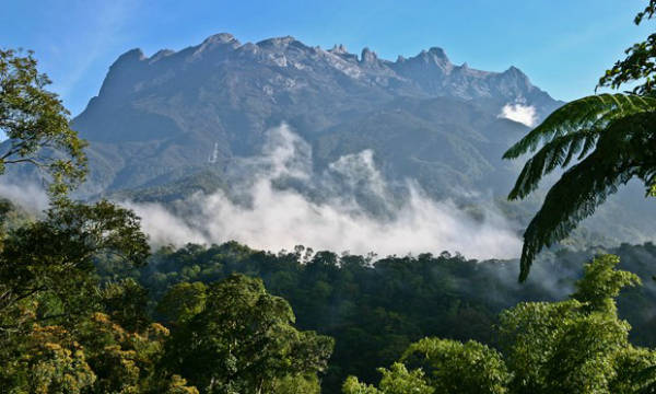 7-trai-nghiem-kho-quen-tren-ho-n-da-o-nhie-t-do-i-borneo-ivivu-2