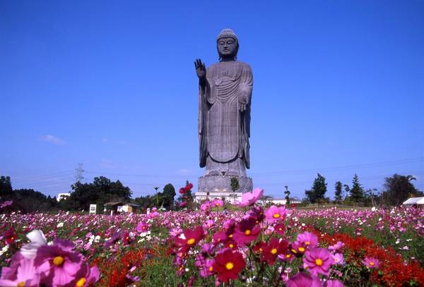 Tượng Phật Ushiku là bức tượng đồng lớn nhất thế giới, đặt tại tỉnh Ibaraki. Tượng cao 120 m, xung quanh được trồng rất nhiều hoa tạo nên khung cảnh thơ mộng. Trong tượng có 5 tầng, đặt hàng nghìn bức tượng Phật có kích thước khác nhau.