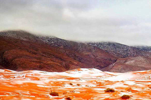 Hôm qua, dân làng tại thị trấn Ain Sefra, đất nước Algeria đã nhìn thấy những bông tuyết rơi ở sa mạc Sahara. Hôm qua, dân làng tại thị trấn Ain Sefra, đất nước Algeria đã nhìn thấy những bông tuyết rơi ở sa mạc Sahara.
