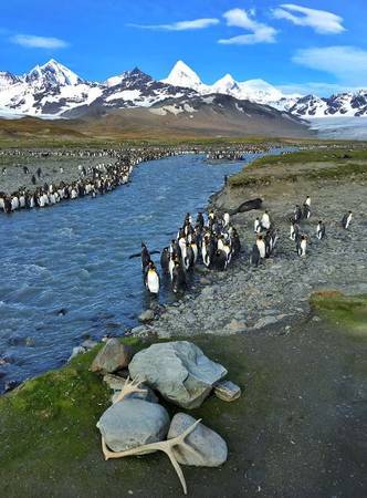 Vẻ đẹp của Nam Cực luôn tạo hứng khởi, với ánh mặt trời hắt lên từ những núi băng trôi khiến chúng lấp lánh hơn, cùng rất nhiều sắc thái khác nhau của màu xanh và trắng. Ở thế giới của băng và tuyết, những con chim cánh cụt dễ thương bước đi lạch bạch và vụng về vẫn tìm được cách hòa nhập với thiên nhiên.