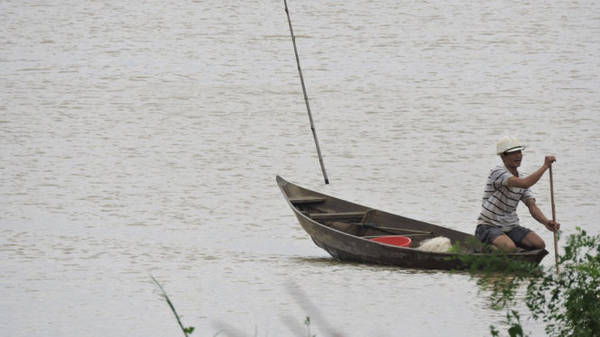 Ngày lụt đi trũ cá, thói quen bao đời của người dân bên bờ hạ lưu sông Thu Bồn - Ảnh: T.Ly