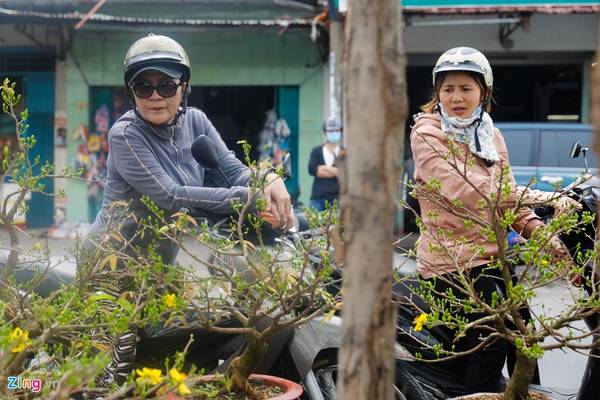 Nhiều khách đến đây chọn mua về trang trí nhà đón năm mới. Nhiều khách đến đây chọn mua về trang trí nhà đón năm mới.