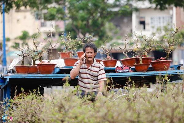 Nhiều nhà vườn còn giao hoa cho các khu vực lân cận như Bình Dương, Biên Hòa. Nhiều nhà vườn còn giao hoa cho các khu vực lân cận như Bình Dương, Biên Hòa.