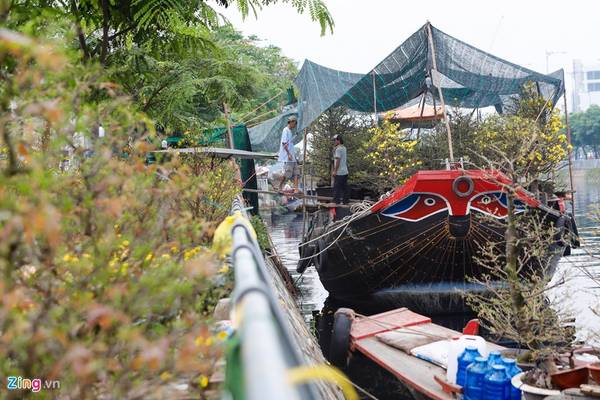 Năm nay nhiều nhất là ghe từ Cái Mơn (Bến Tre) đổ về. Nhiều chiếc chở hàng trăm chậu kiểng, cây mai lớn. Năm nay nhiều nhất là ghe từ Cái Mơn (Bến Tre) đổ về. Nhiều chiếc chở hàng trăm chậu kiểng, cây mai lớn.