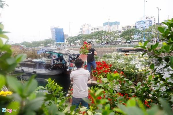 Do bến sông nhỏ nhiều ghe thuyền phải đậu nối tiếp nhau nên hoa được chuyền từ ghe này qua ghe khác lên bờ. Do bến sông nhỏ nhiều ghe thuyền phải đậu nối tiếp nhau nên hoa được chuyền từ ghe này qua ghe khác lên bờ.
