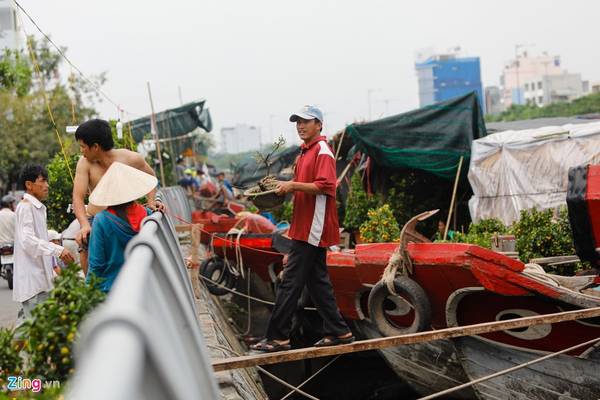 Giá bình quân một lô thuê bán hoa là 5 triệu suốt mùa. Các ghe sẽ cặp ngay lô thuê để thuận tiện chuyển hàng. Giá bình quân một lô thuê bán hoa là 5 triệu suốt mùa. Các ghe sẽ cặp ngay lô thuê để thuận tiện chuyển hàng.