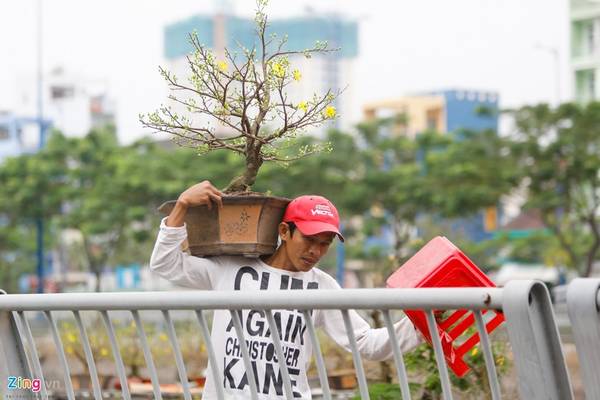 Anh Thuận (Cái Mơn) chuyển hoa lên bờ để bán. Anh cho biết một chậu mai như thế này có giá khoảng 500.000-700.000 đồng tùy hình dáng. Anh Thuận (Cái Mơn) chuyển hoa lên bờ để bán. Anh cho biết một chậu mai như thế này có giá khoảng 500.000-700.000 đồng tùy hình dáng.