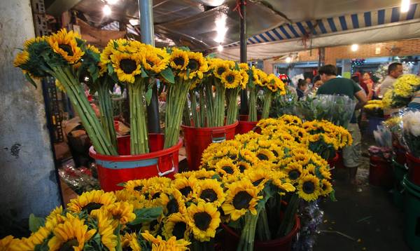 Hoa rất tươi và đa dạng được vận chuyển từ miền Tây, Đà Lạt…Ảnh: Vietstreetfood.com