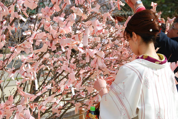 Tới chùa Kiyomizu – Dera, người Nhật thường rút thẻ xăm omikuji hay còn gọi là lời tiên đoán về vận số viết trên giấy, nếu thẻ Cát thì họ sẽ giữ lại bên mình, nếu Hung thì họ sẽ buộc lên cây thông và tự hứa với thần linh rằng họ sẽ vượt qua những điều cảnh báo từ thần linh. Ảnh: tnttravel.tnt.vietnam.com