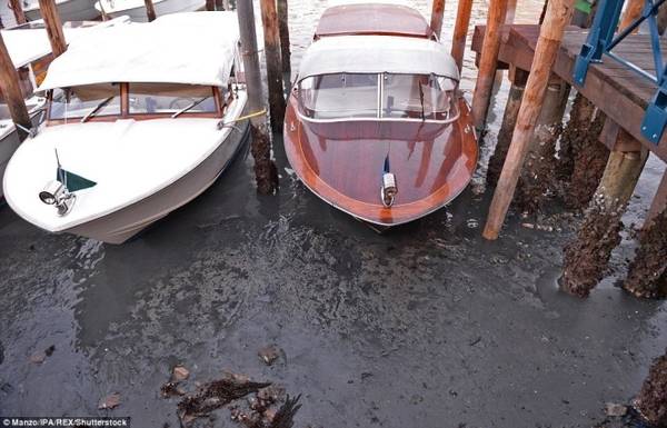 Thủy triều thường xuống thấp vào khoảng thời gian này hàng năm, nhưng năm nay mực nước ở Venice thấp hơn 70 cm so với mức trung bình.
