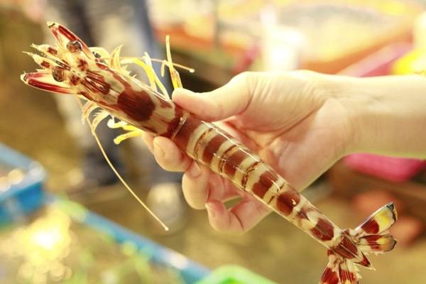 Tôm đỏ là đặc sản của Đài Loan, bán theo thời giá, có thể nướng mọi, hấp hoặc xào tùy ý. Nếu ghé chợ cá, bạn không nên bỏ qua món này.