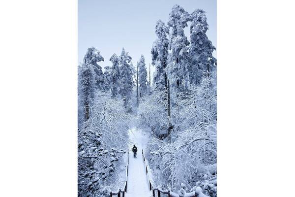 Vào mùa đông, nhiệt độ xuống thấp, lượng tuyết rơi dày phủ trên núi khiến Nga Mi trở nên đẹp kỳ ảo.