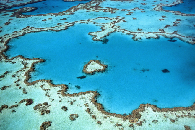Mỗi năm, rặng san hô trái tim Great Barrier ở Australia thu hút nhiều cặp tình nhân đến đây để tỏ tình hay cầu hôn. Mọi hoạt động liên quan đến bơi lặn gần khu vực này đều bị cấm để bảo vệ vẻ đẹp của đảo san hô này. Ảnh: Unsplash.