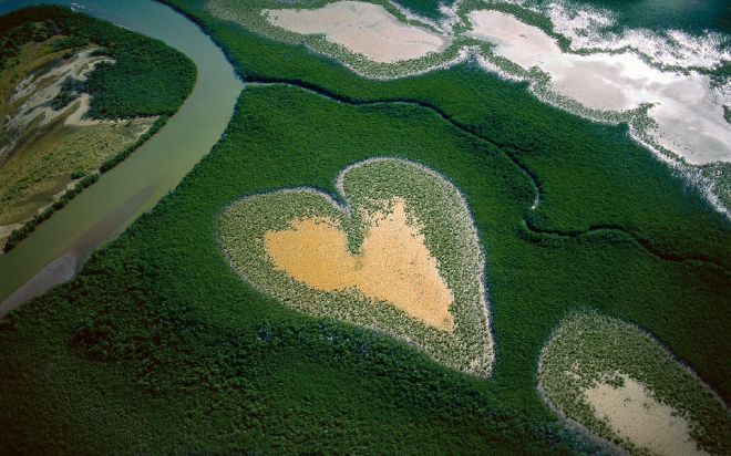 Thị trấn Voh, New Caledonia có thảm thực vật rừng ngập mặn hình trái tim độc đáo với tên gọi “Trái tim của Voh”. Nếu đi trực thăng, du khách sẽ dễ dàng chiêm ngưỡng cảnh quan tuyệt vời này. Ảnh: Toucan Wings.