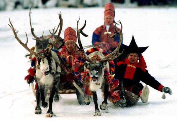 Theo lịch của người Sami, một năm được chia ra làm tám mùa giống như vòng đời của tuần lộc. Ảnh: Flickr.