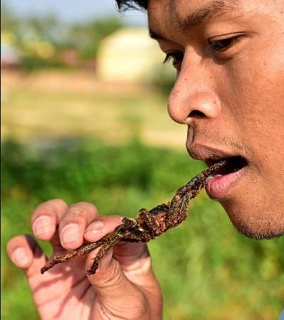 Hướng dẫn viên Campuchia Yin Lucky thử ăn một con nhện Tarantula đã rán giòn. Anh chia sẻ: "Hãy ăn phần thân trước vì nó ngon nhất, những cái chân thì không ngon bằng".