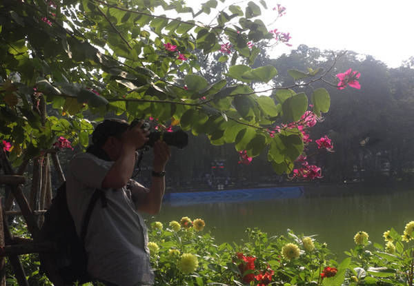 Nhiều người đam mê chụp ảnh cũng tranh thủ ghi lại vẻ đẹp của hoa.