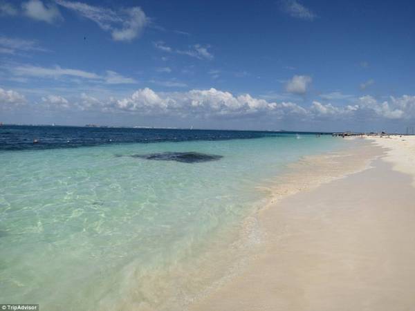 7. Bãi biển Playa Norte, Isla Mujeres, Mexico - Ảnh: TripAdvisor